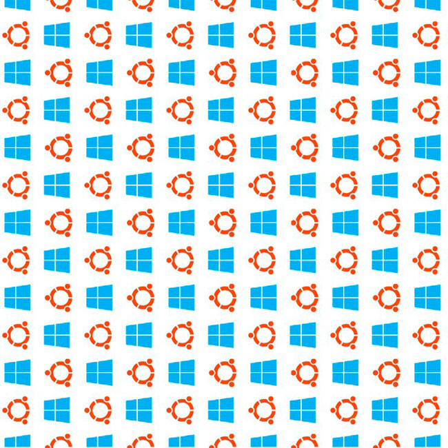 The Windows and Ubuntu logos tiled across the image.