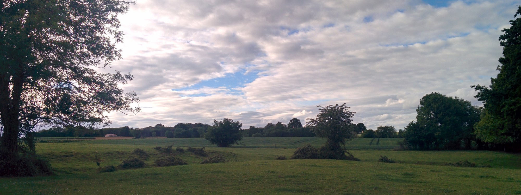 The view here in the French countryside. Green grass, nice skies, and cows.